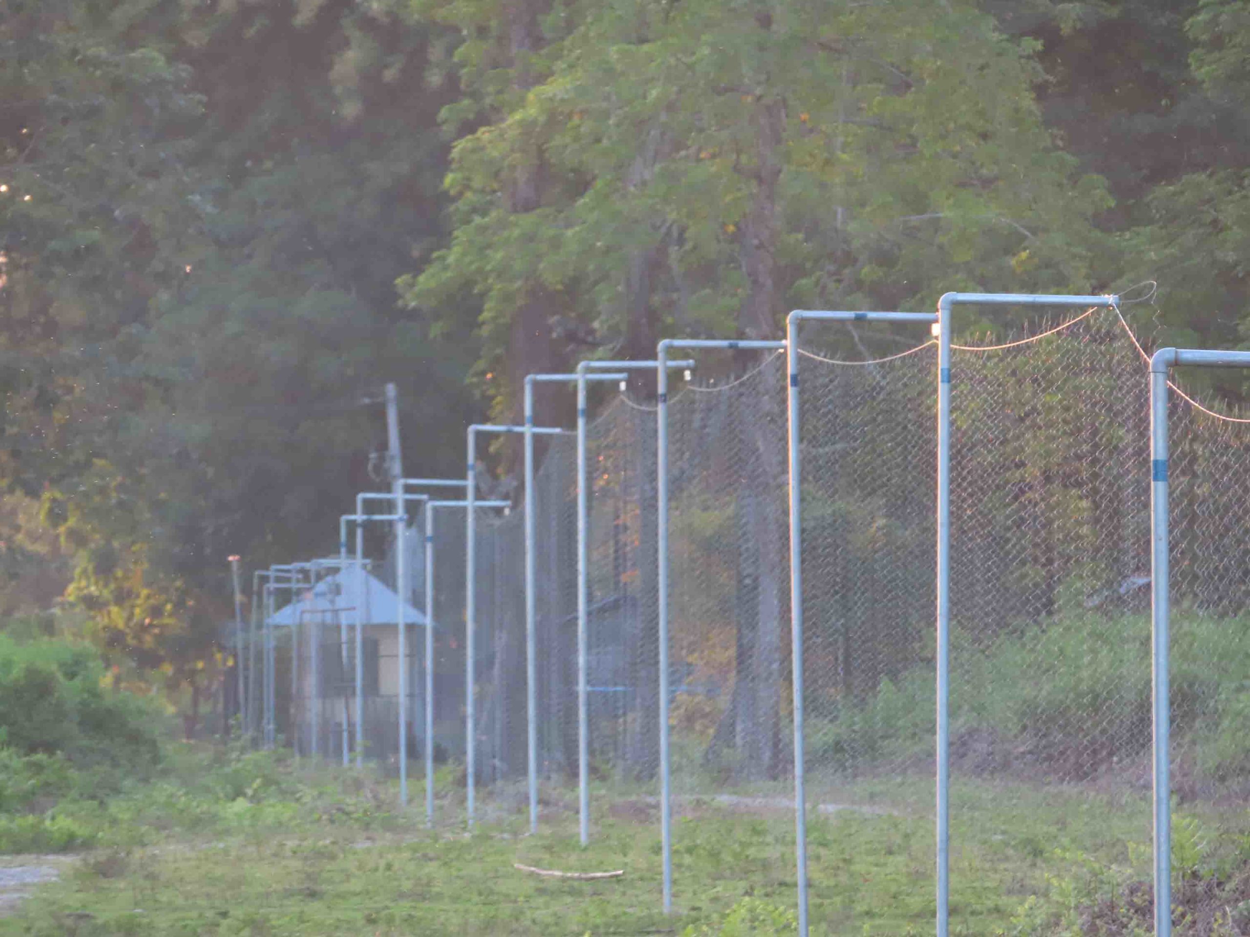 Completed fence